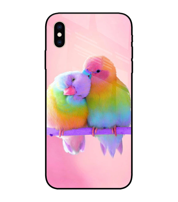 Love Birds iPhone XS Max Glass Cover