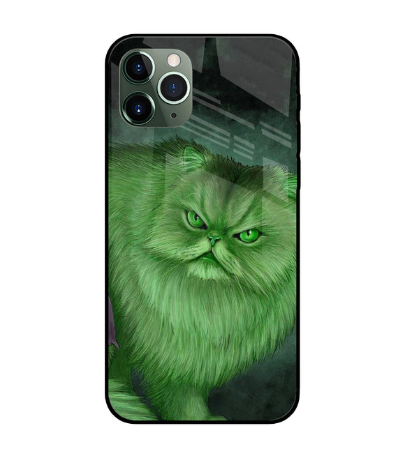 Hulk Cat iPhone 11 Pro Glass Cover