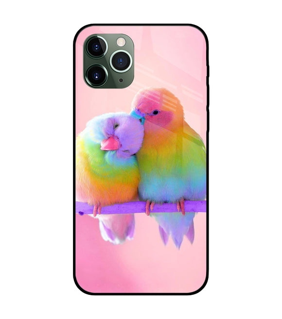 Love Birds iPhone 11 Pro Glass Cover