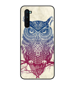 Owl Drill Paint Oneplus Nord Glass Cover
