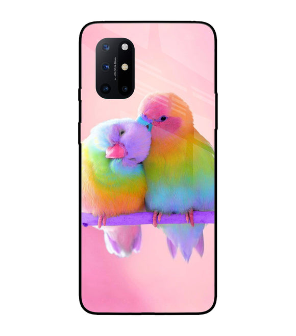 Love Birds Oneplus 8T Glass Cover