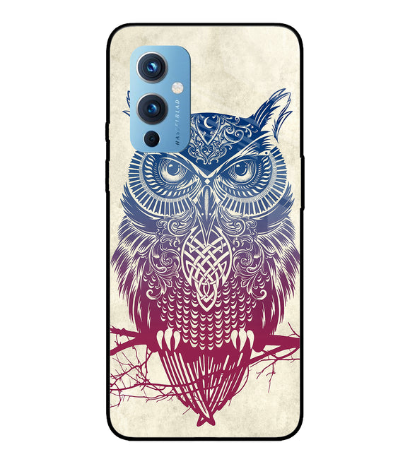 Owl Drill Paint Oneplus 9 Glass Cover