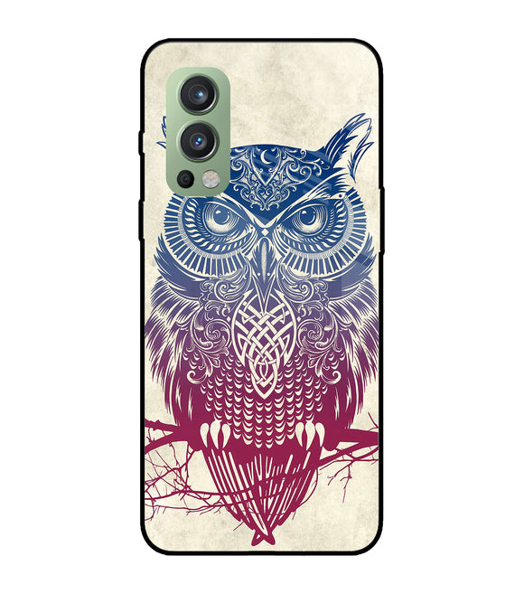 Owl Drill Paint OnePlus Nord 2 5G Glass Cover