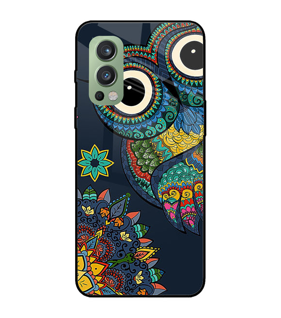 Abstract Owl Art OnePlus Nord 2 5G Glass Cover