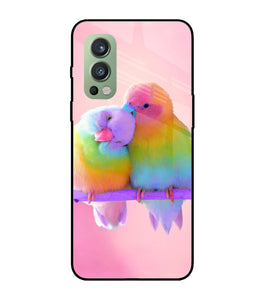 Love Birds OnePlus Nord 2 5G Glass Cover