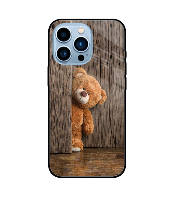 Teddy Wooden iPhone 13 Pro Glass Cover