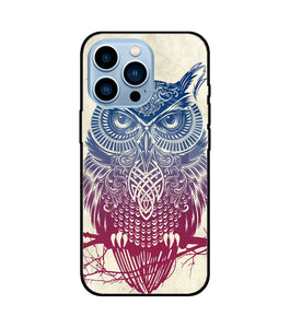 Owl Drill Paint iPhone 13 Pro Glass Cover