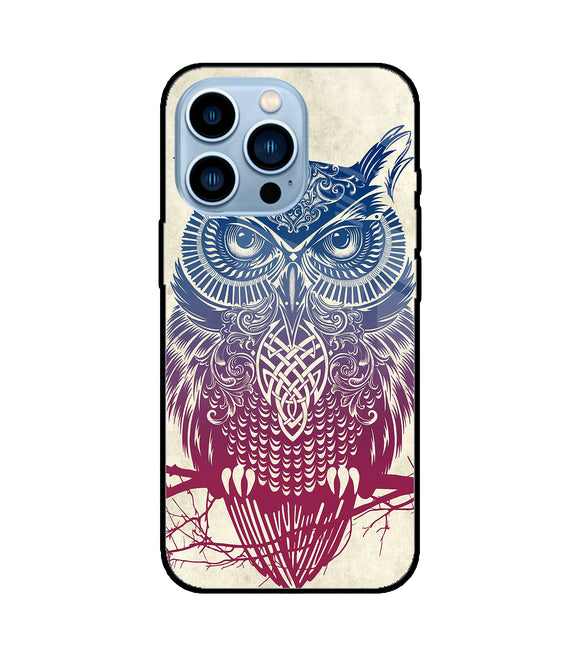 Owl Drill Paint iPhone 13 Pro Glass Cover