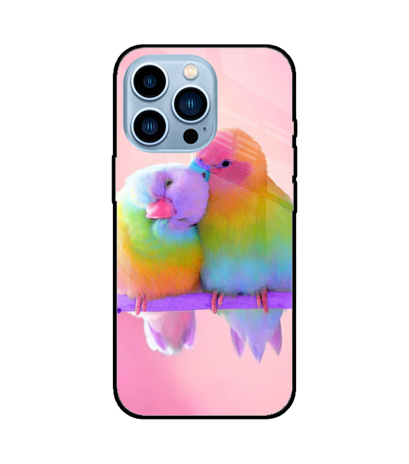 Love Birds iPhone 13 Pro Glass Cover