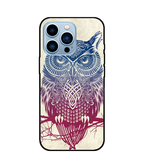 Owl Drill Paint iPhone 13 Pro Max Glass Cover